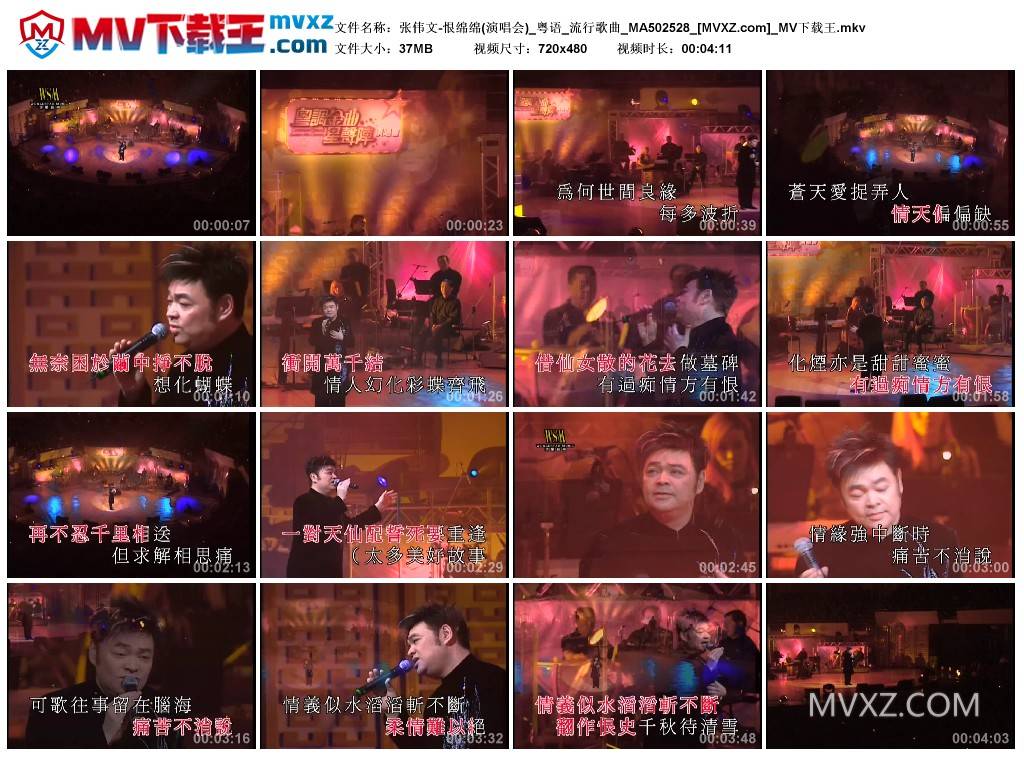 张伟文-恨绵绵(演唱会)_粤语_流行歌曲_MA502528